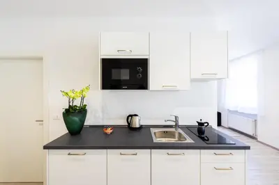 a white kitchen with a sink and a microwave at Lara's Guesthouse in Merano