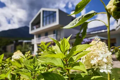 a house behind a bush with white flowers at Apartmenthaus Haringer in Novacella