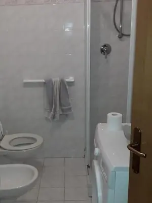 a bathroom with a shower and a toilet and a sink at Le betulle in Predazzo