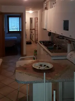 a kitchen with a counter top with a plate on it at Le betulle in Predazzo