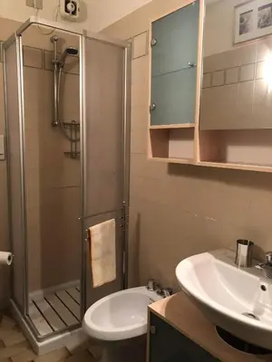 a bathroom with a shower and a sink and a toilet at Mellon House in Falcade
