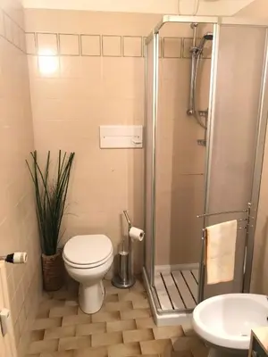 a bathroom with a toilet and a shower at Mellon House in Falcade