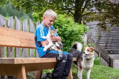 a boy sitting on a bench with a cat and a dog at Blasighof in Quinzo