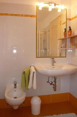 a bathroom with a sink and a mirror at Bio Kräuterhof Oberpalwitter in Barbiano