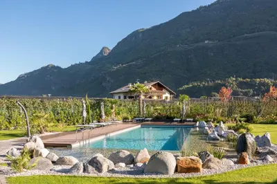 a swimming pool in a yard with a mountain at Apartments ANNY in Postal