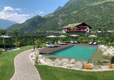 a swimming pool in a yard with mountains in the background at Apartments ANNY in Postal