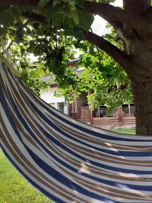 a blue and white striped hammock hanging from a tree at Oberhauser Hof - Apartments in Feldthurns