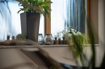 a window sill with glasses and potted plants on it at Pension-Appartement Mitterhofer in Schenna