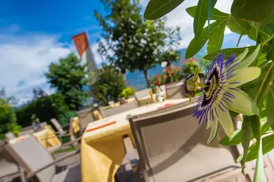a purple flower on a table with chairs at Ansitz am Eck by Hotel Pernhof in Termeno