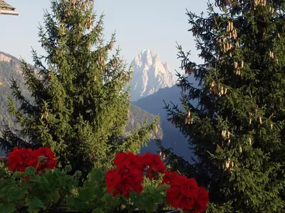 a view of a mountain from between two trees at Appartment Kirch Neuhaus in Laion