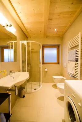 a bathroom with a shower sink and a toilet at Appartment Kirch Neuhaus in Laion