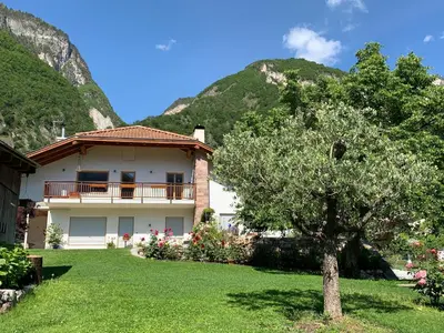 a house with a tree in front of a mountain at Haus Greti in Magrè allʼ Adige