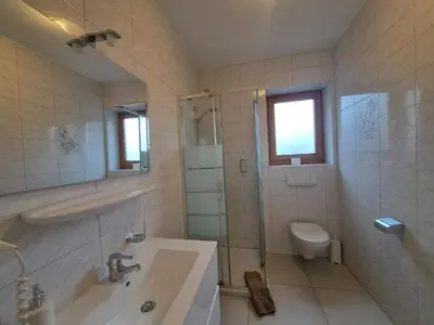 a bathroom with a sink and a shower and a toilet at B&B Brunnerhof in Feldthurns