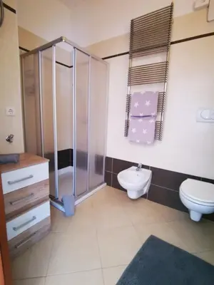 a bathroom with a shower and a toilet and a sink at Apartment BELLA VISTA in Bolzano