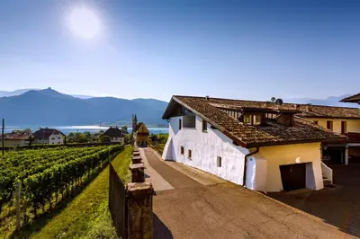 a white building next to a vineyard with mountains in the background at Apartments Seewinkel in Caldaro
