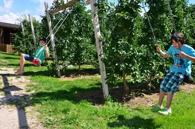 two children playing on a swing in a tree at Ferienwohnung Pippohof in Appiano sulla Strada del Vino