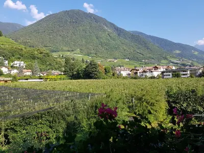a view of a vineyard in a mountain village at Pension Gartscheid in Lana