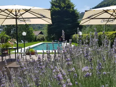 a garden with purple flowers and a swimming pool at Pension Gartscheid in Lana