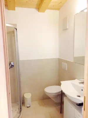 a bathroom with a toilet and a sink at La terrazza gardenese in Santa Cristina in Val Gardena