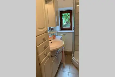 a bathroom with a sink and a shower at Paola’s Country Home - Vanoi Primiero Trentino in Canale San Bovo