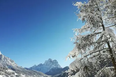 a snow covered tree with mountains in the background at La Majon in Colle Santa Lucia