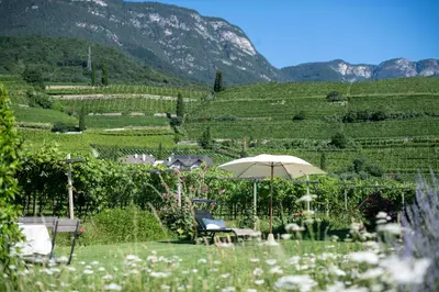 a chair and an umbrella in a field with mountains at Rösslhof in Caldaro