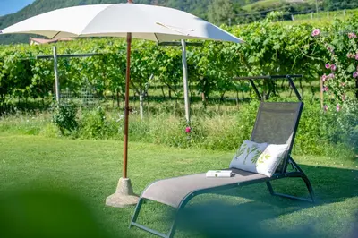 a chair under an umbrella in a yard at Rösslhof in Caldaro