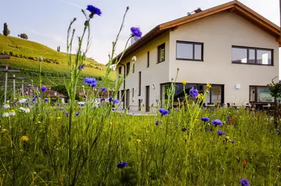a house with a field of flowers in front of it at Rösslhof in Caldaro
