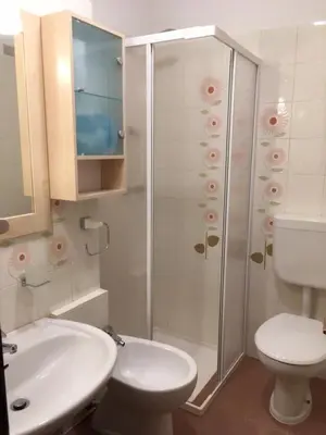 a bathroom with a shower and a toilet and a sink at Appartamento Nemo in Alleghe