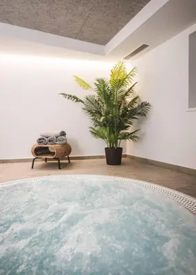 a large bath tub in a room with a plant at Hotel Schölzhorn Superior in Racines