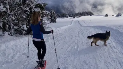 a woman on skis with a dog in the snow at Affittacamere Dolce Sogno in Coredo