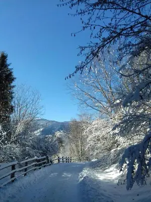 a snow covered road with trees and a fence at Mair am Hof - Farm - Maso - Bauernhof in San Lorenzo di Sebato