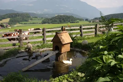 a bird house and some ducks in a pond at Mair am Hof - Farm - Maso - Bauernhof in San Lorenzo di Sebato
