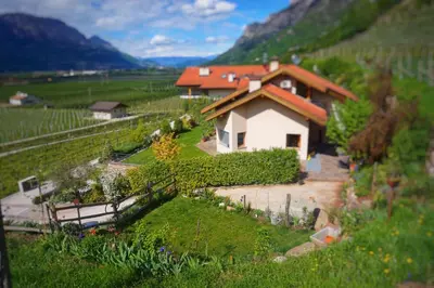 a house in the middle of a vineyard at Agritur Zuveith in Salorno sulla Strada del Vino