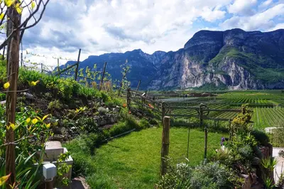 a garden with a mountain in the background at Agritur Zuveith in Salorno sulla Strada del Vino