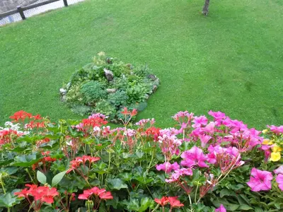 a garden with pink flowers in the grass at Garnì Conturina in Santa Cristina in Val Gardena