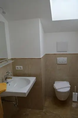 a bathroom with a sink and a toilet at Chalet Regina in Selva di Val Gardena