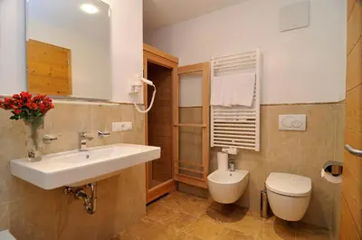 a bathroom with a sink and a toilet at Chalet Regina in Selva di Val Gardena
