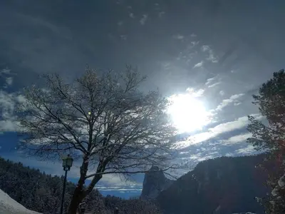 a tree with the sun in the sky at Villa Luise in Ortisei