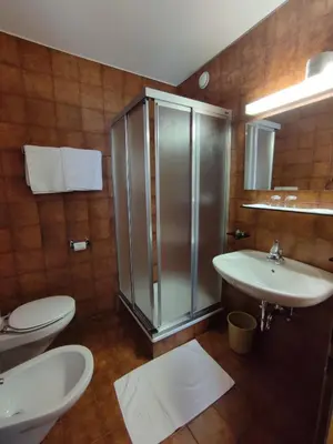 a bathroom with a shower and a sink and a toilet at Villa Luise in Ortisei