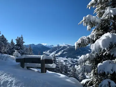 a bench covered in snow with a view of a mountain at Lienharterhof in Monguelfo