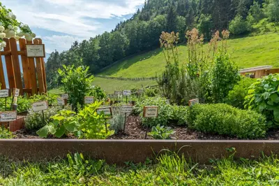 a garden with many different plants in a field at Moarhof in Oberbozen in Soprabolzano