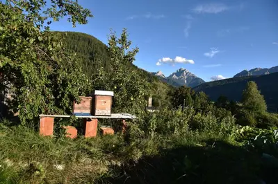 a building in a field with mountains in the background at Pension Panorama in Monguelfo