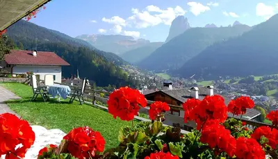 a bunch of red flowers in a field with mountains at Residence Lastei in Ortisei