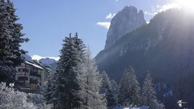 a group of pine trees in front of a mountain at Apartment Cesa Collina Family Retreat in Ortisei