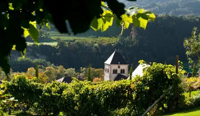 a church in the middle of a vineyard in the hills at Hotel Brückenwirt in Novacella