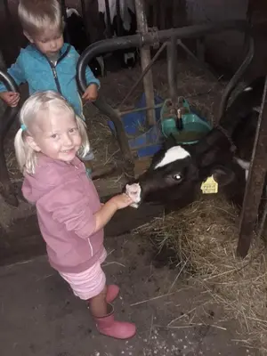 a little girl feeding a cow in a barn at Felderhof in Maranza