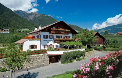 a building with flowers on the side of a road at Schlettererhof in Tirolo