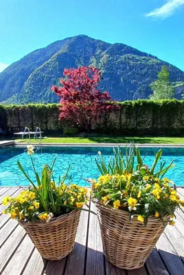 two baskets of flowers sitting on a table next to a pool at Gasthof Residence Brugghof & Erlhof in Campo Tures