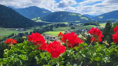 a view of a valley with red flowers at Holzerhof in Valdaora di Sotto